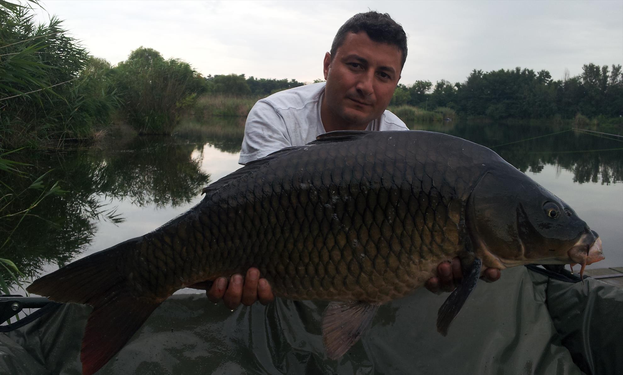 Tancabesti 18 - 19 iul. - 20140719074634.jpg